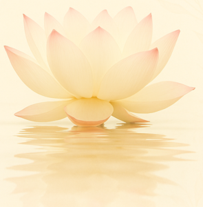 gently guiding you back to softness.